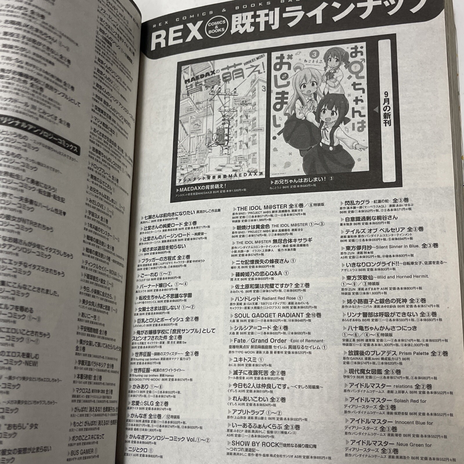 Fate Grand Order Epic Of Remnant Monthly Comic Rex November 2019 Japanese