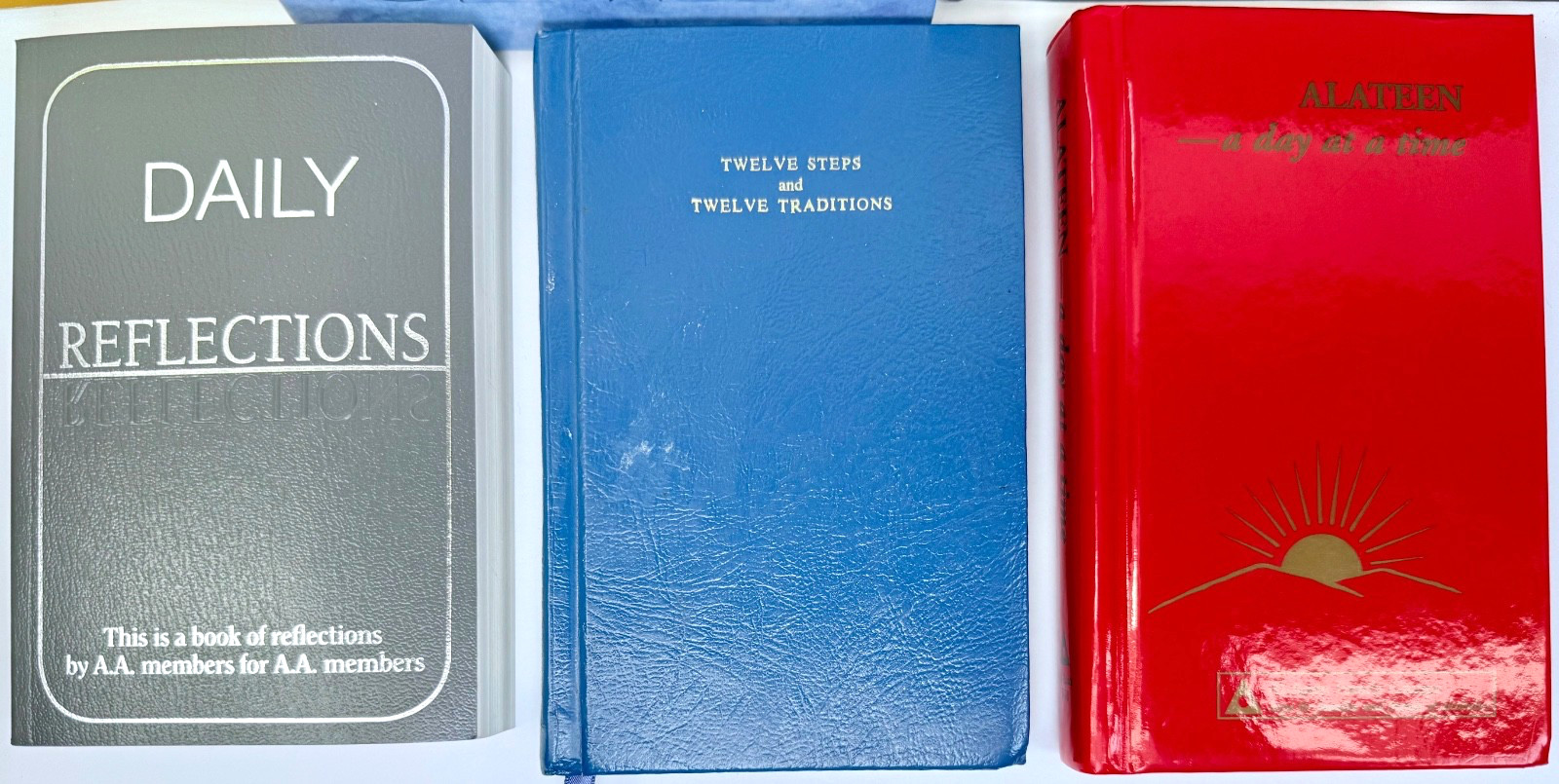 Alcoholics Anonymous AA Book Lot Big Book Twelve Steps and Traditions 24 Hours