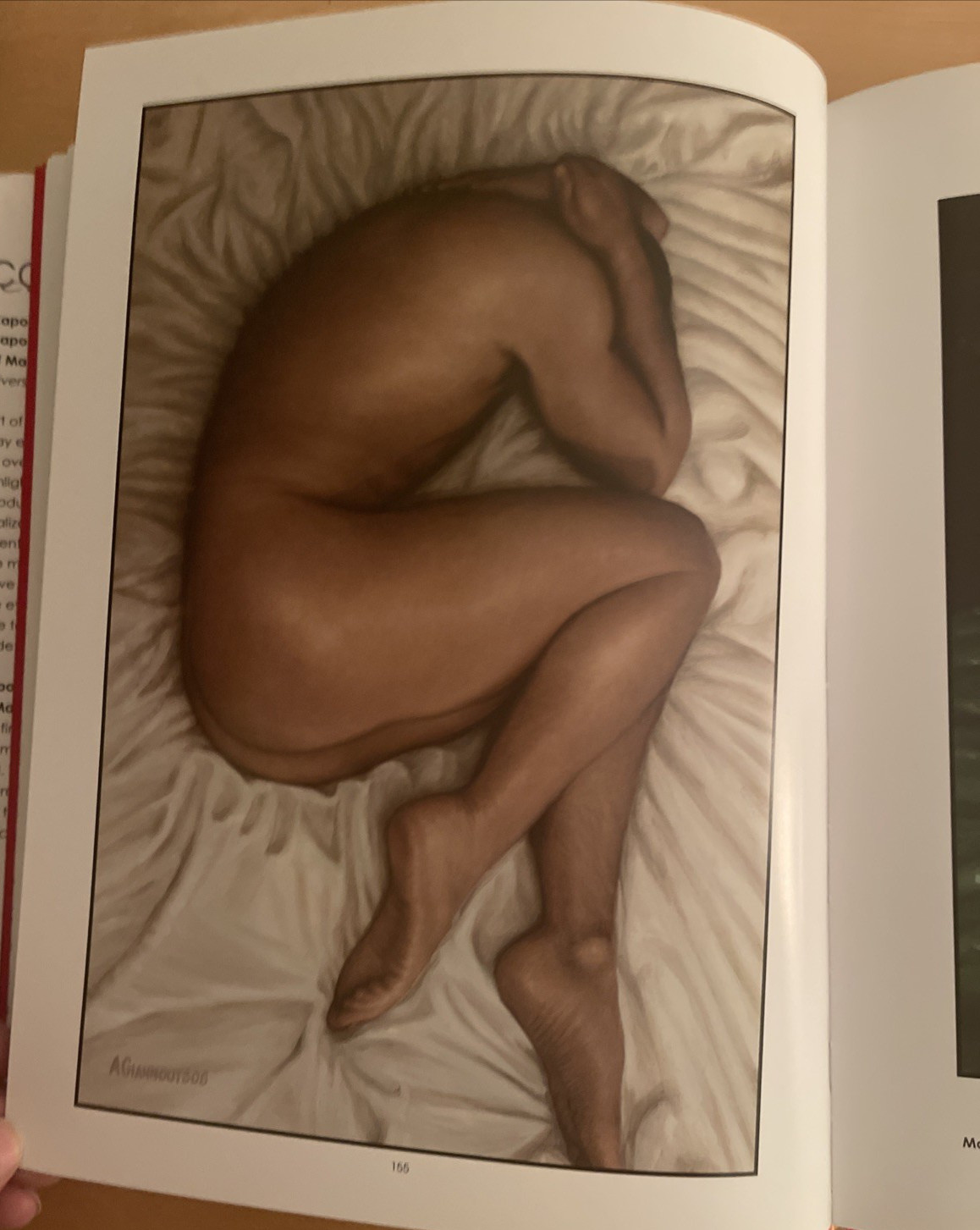 CAPOLAVORO DI UOMO MASTERPIECE OF MAN DIVERSITY IN GAY EROTIC ART NEW HC W/DJ