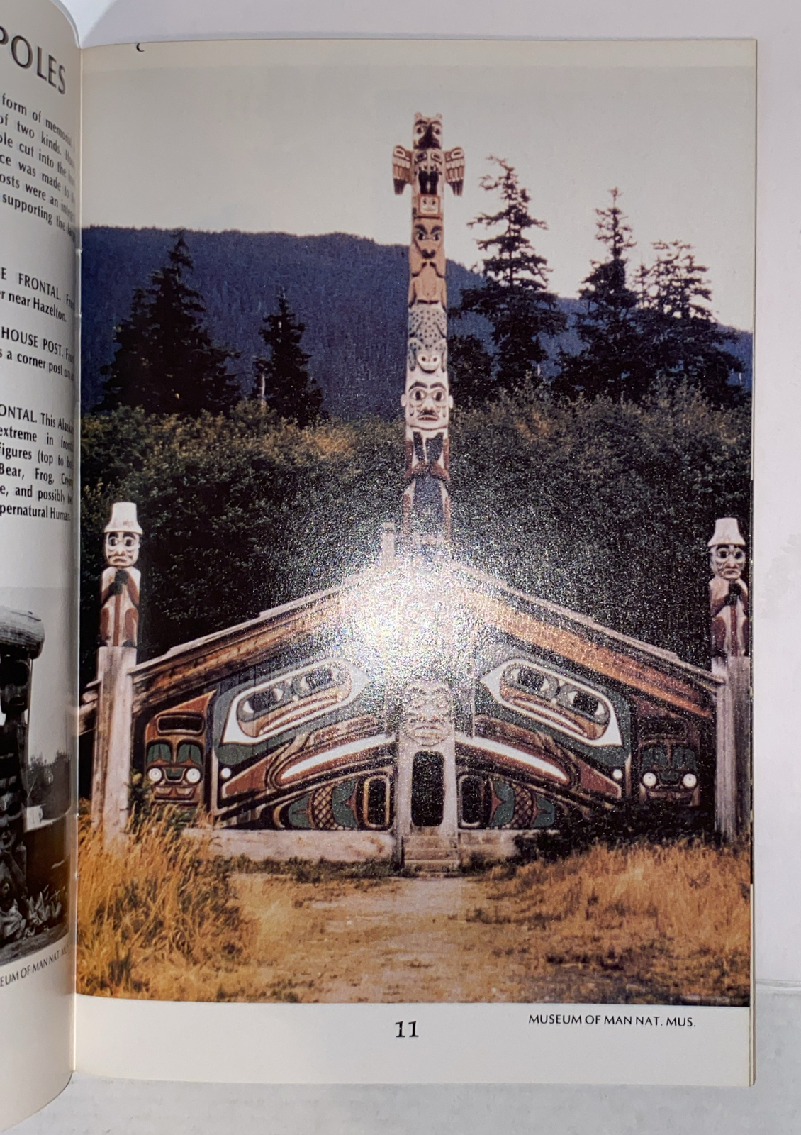 Act Ser.: Totem Poles of the Northwest by D. Allen (1977, Trade Paperback)