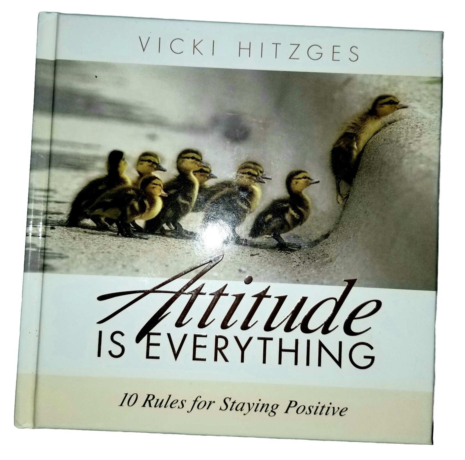 Attitude Is Everything 10 Rules For Staying Positive A Book By Vicki Hitzges
