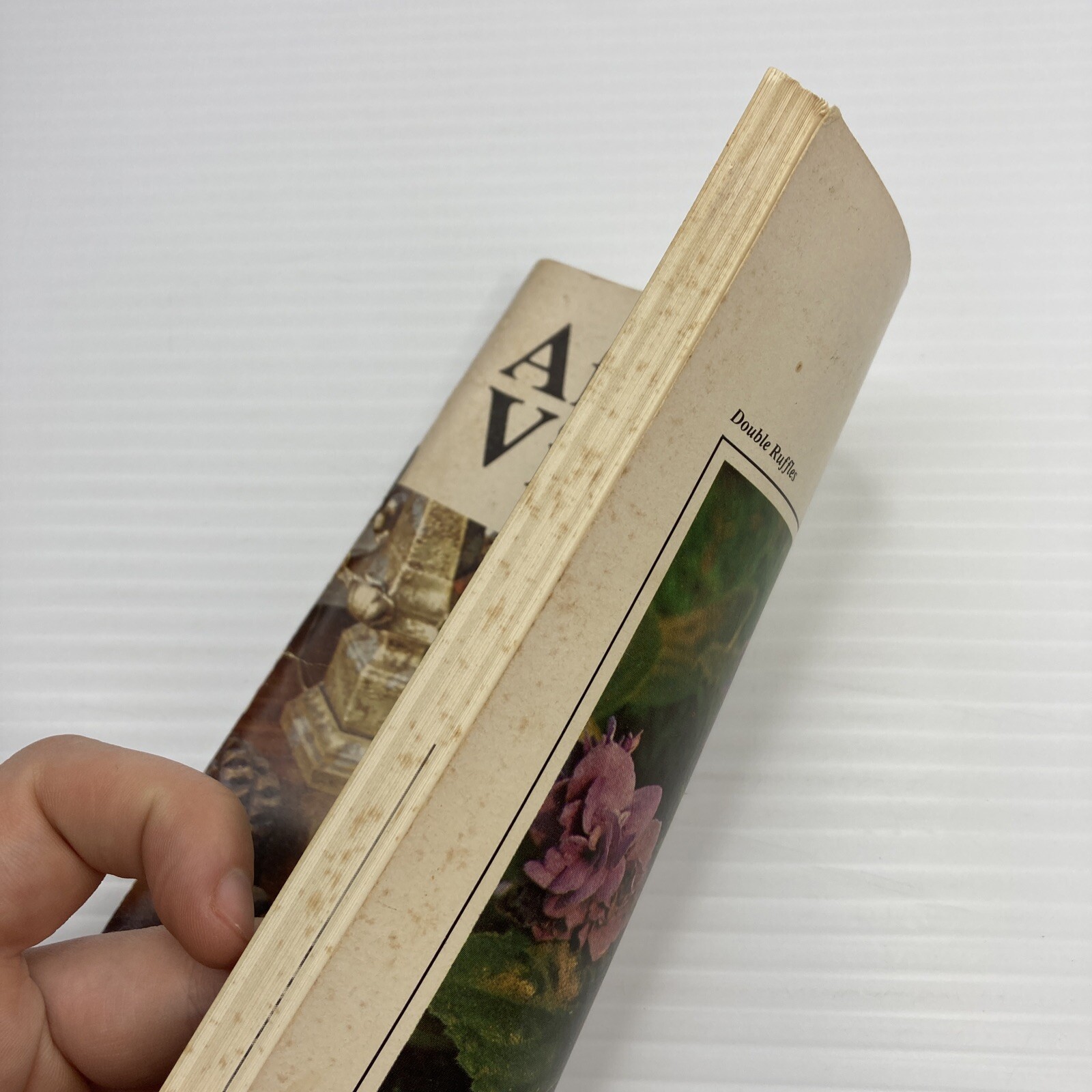 African Violets Countryside Books 1976 Vintage Flower Guide Booklet