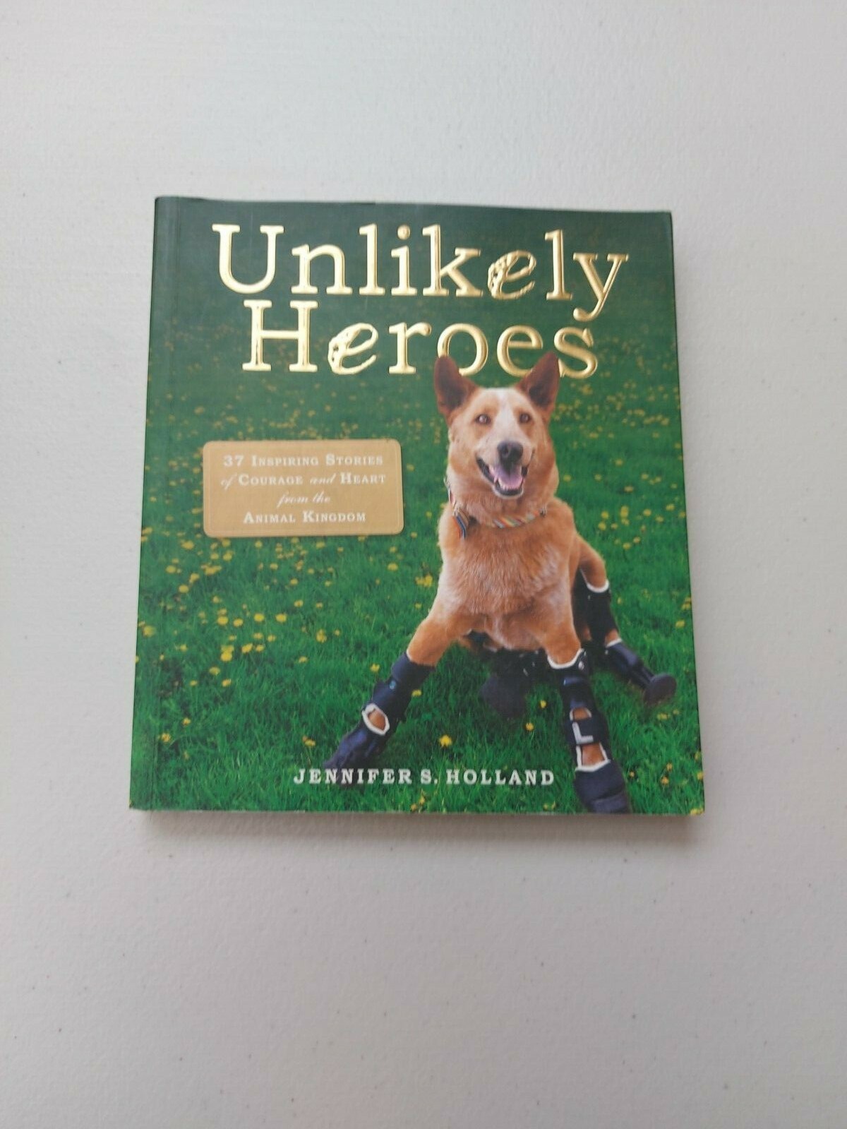 Unlikely Heroes By Jennifer S Holland Biographical/True Story Paperback In Aust