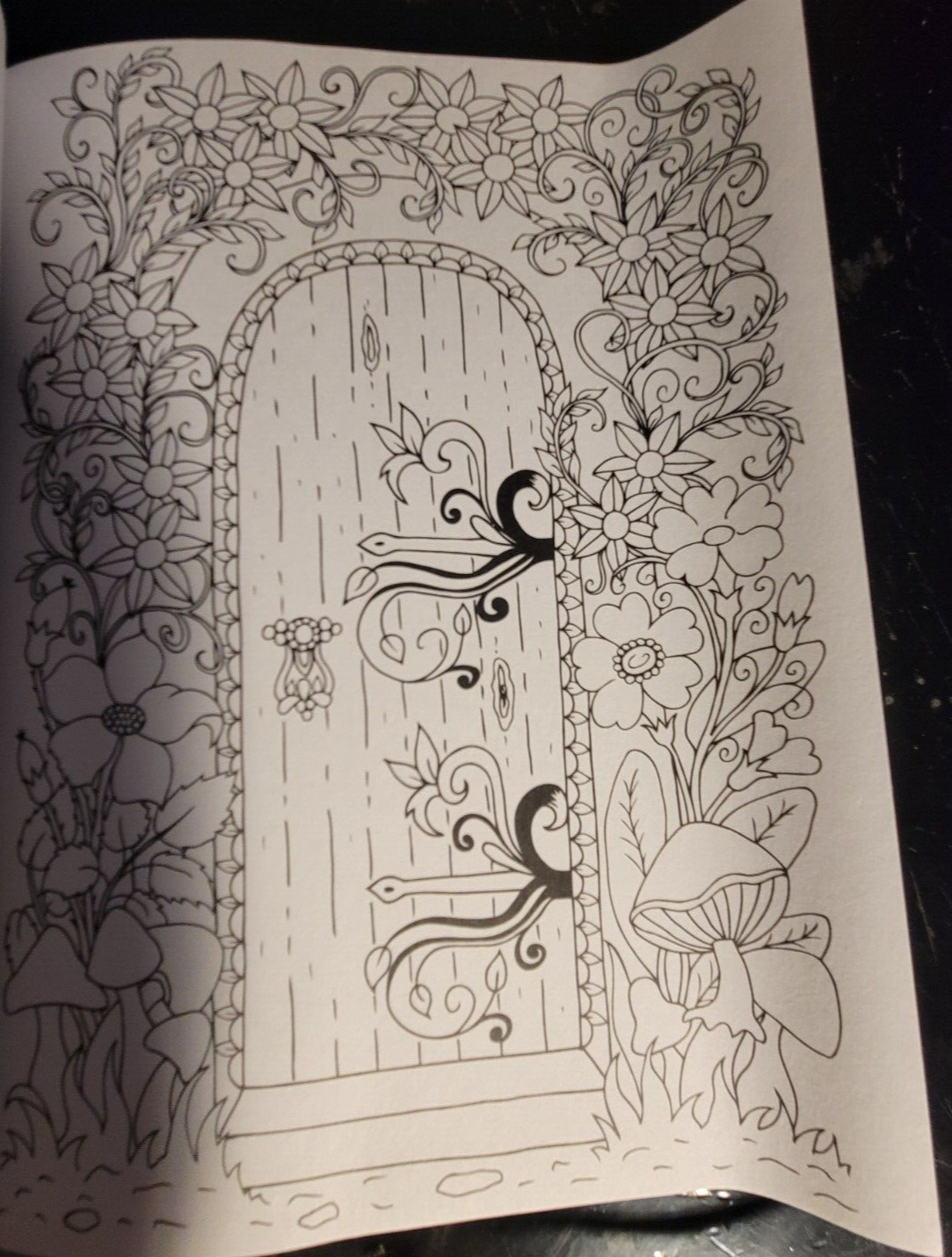 COLORING MYTH & MAGIC – Adult Coloring Book by TOPIX MEDIA – 47 PRINTS