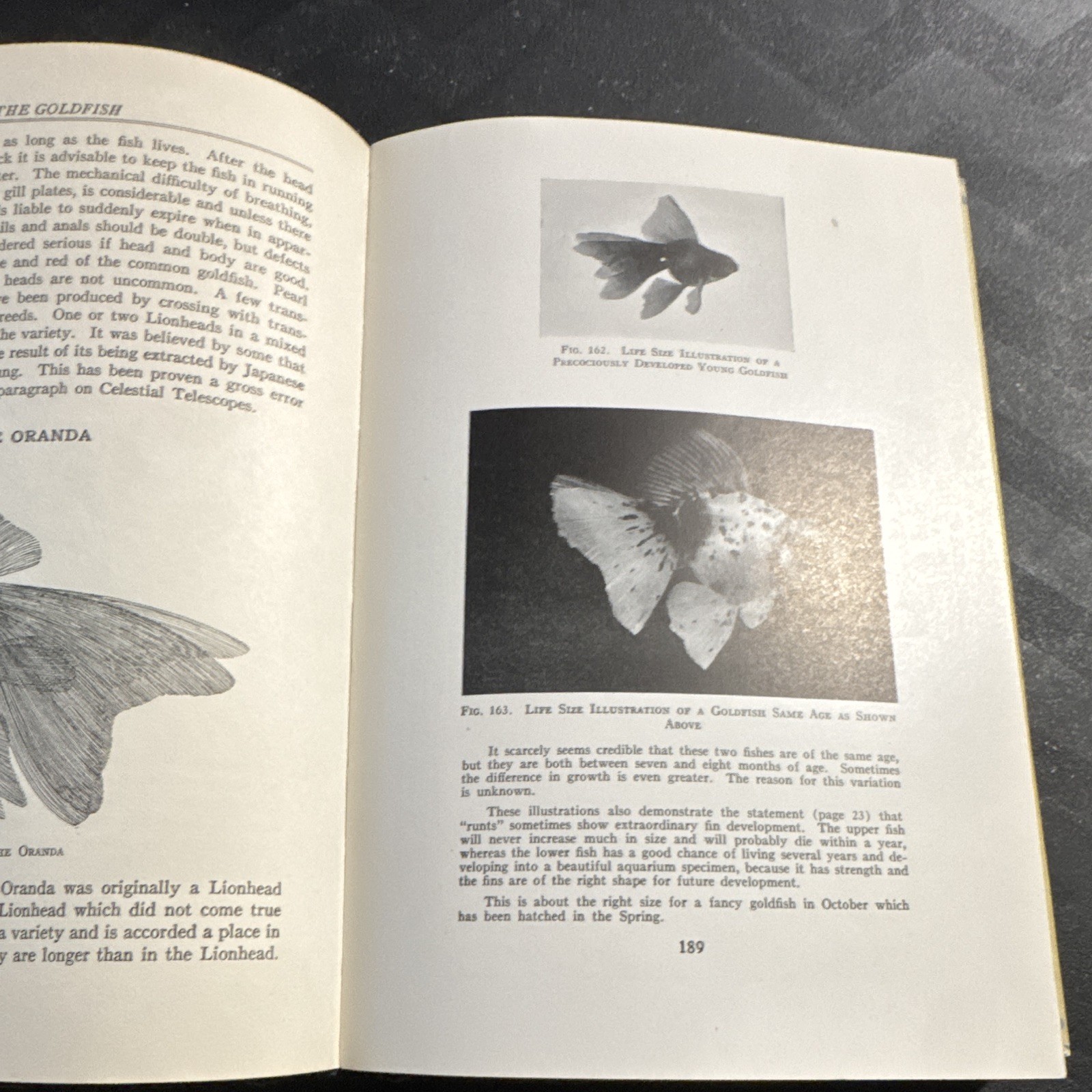 William T. Innes – Goldfish Varieties & Tropical Aquarium Fishes – 1931