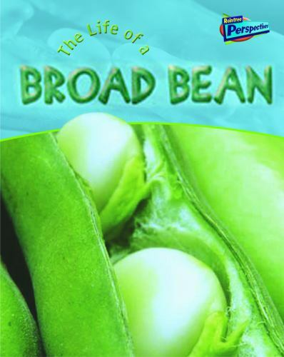 Life of a Bean (Raintree Perspectives) by Hibbert, Clare