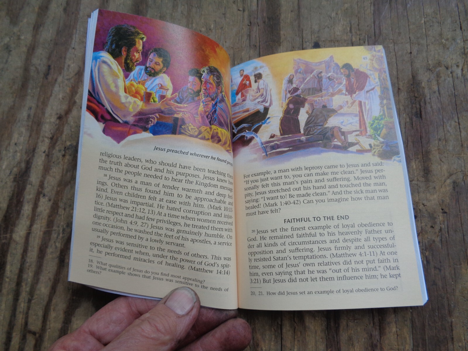“WHAT DOES THE BIBLE REALLY TEACH?”. 2016. 223 pages. Paperback. Watchtower