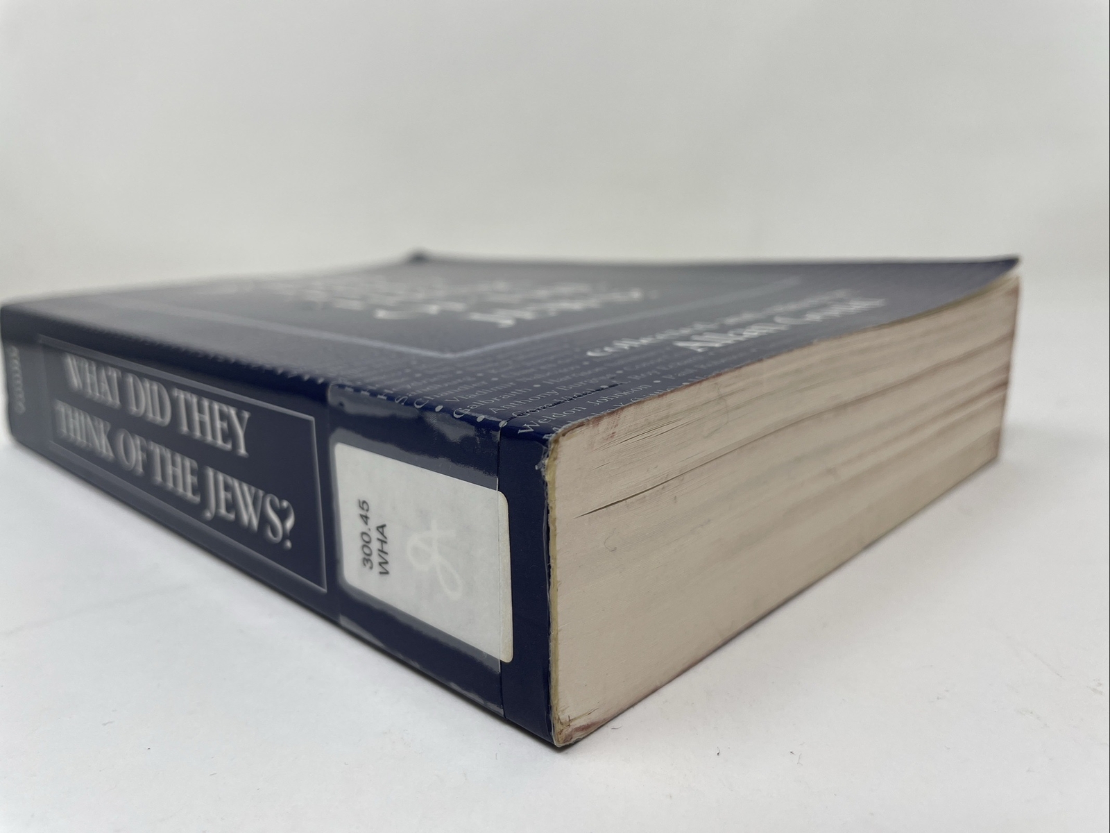 What Did They Think of the Jews? 1st Softcover Ed 1997 by Allan Gould