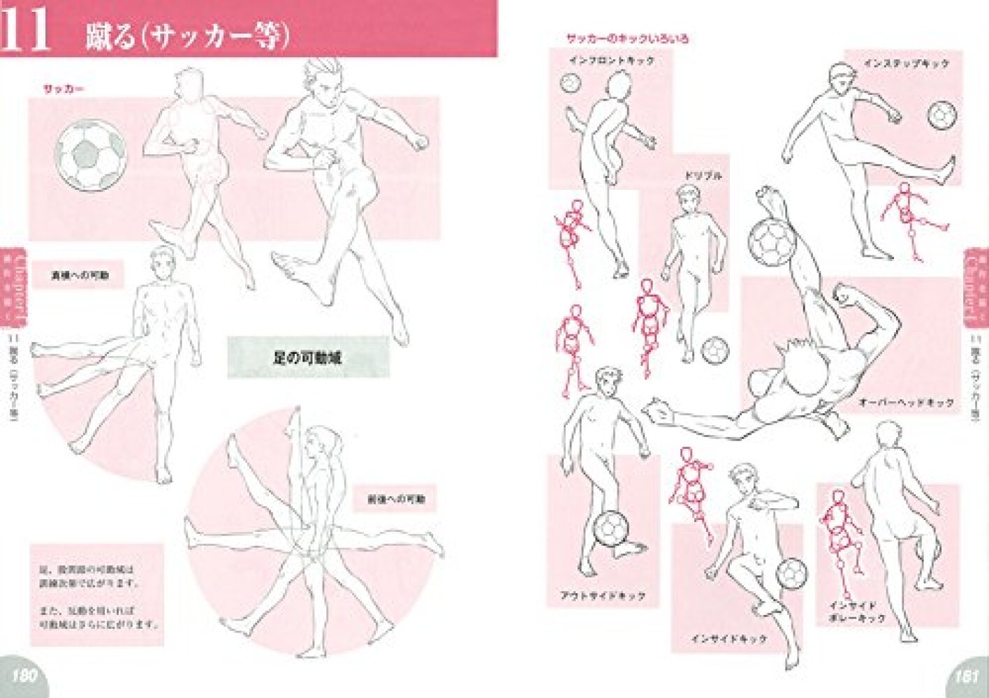 How to draw Manga character drawings learned from human anatomy diagrams