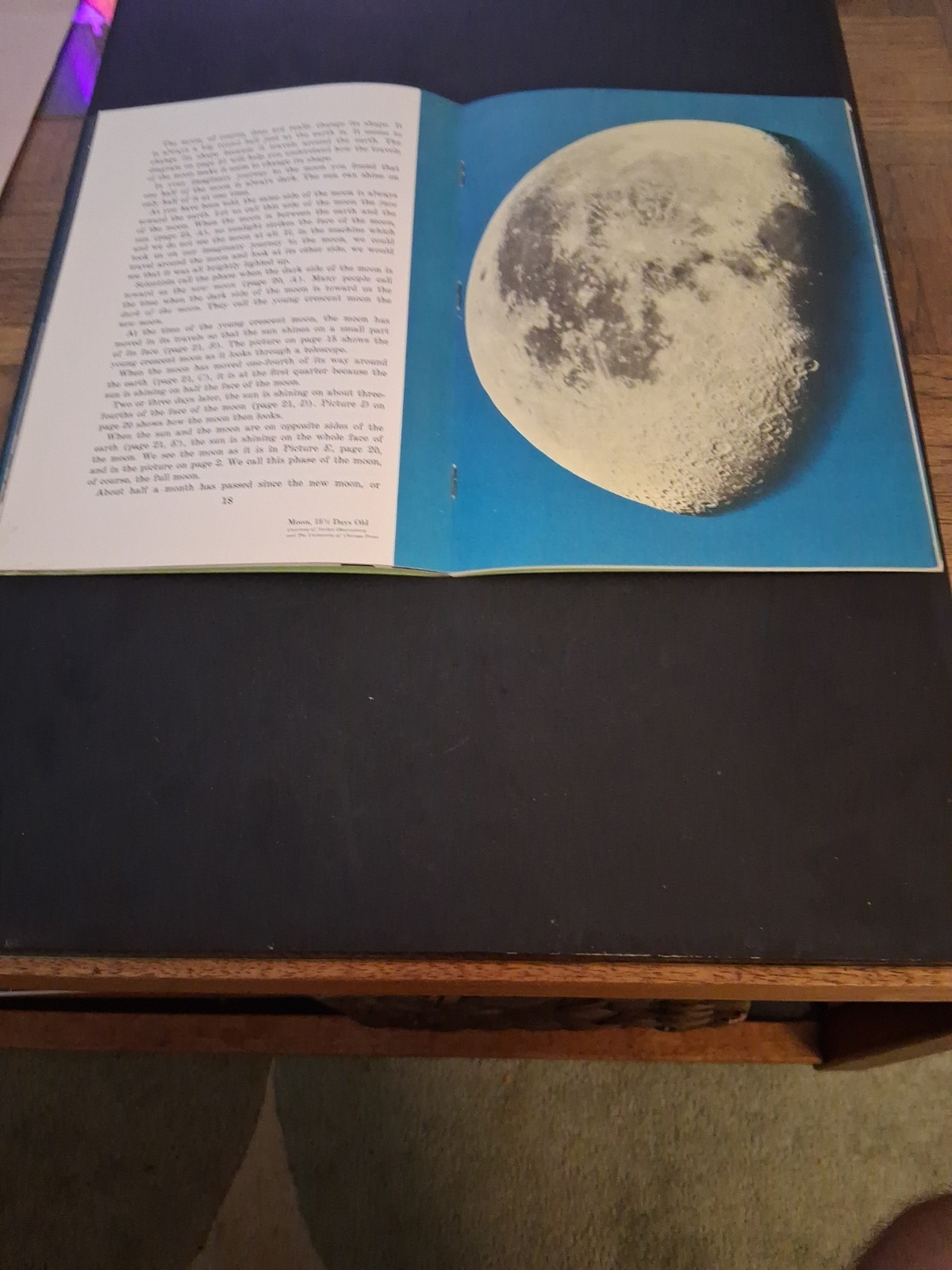 Earth’s Nearest Neighbor Moon Book 1966 Edition Bertha Parker Paperback V. G.