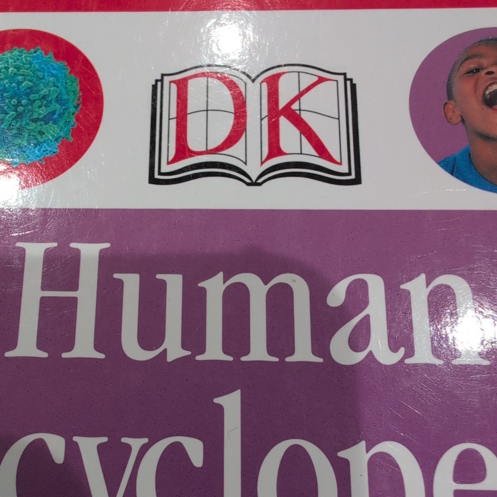 Lot of six Books About The Human Body Anatomy & Physiology Illustrated