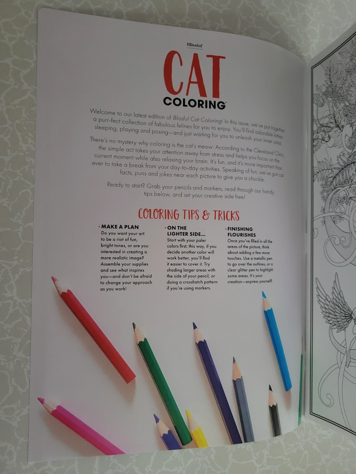 CAT COLORING ADULT COLORING BOOK – 2023 CENTENNIAL – 32 Inspiring Designs