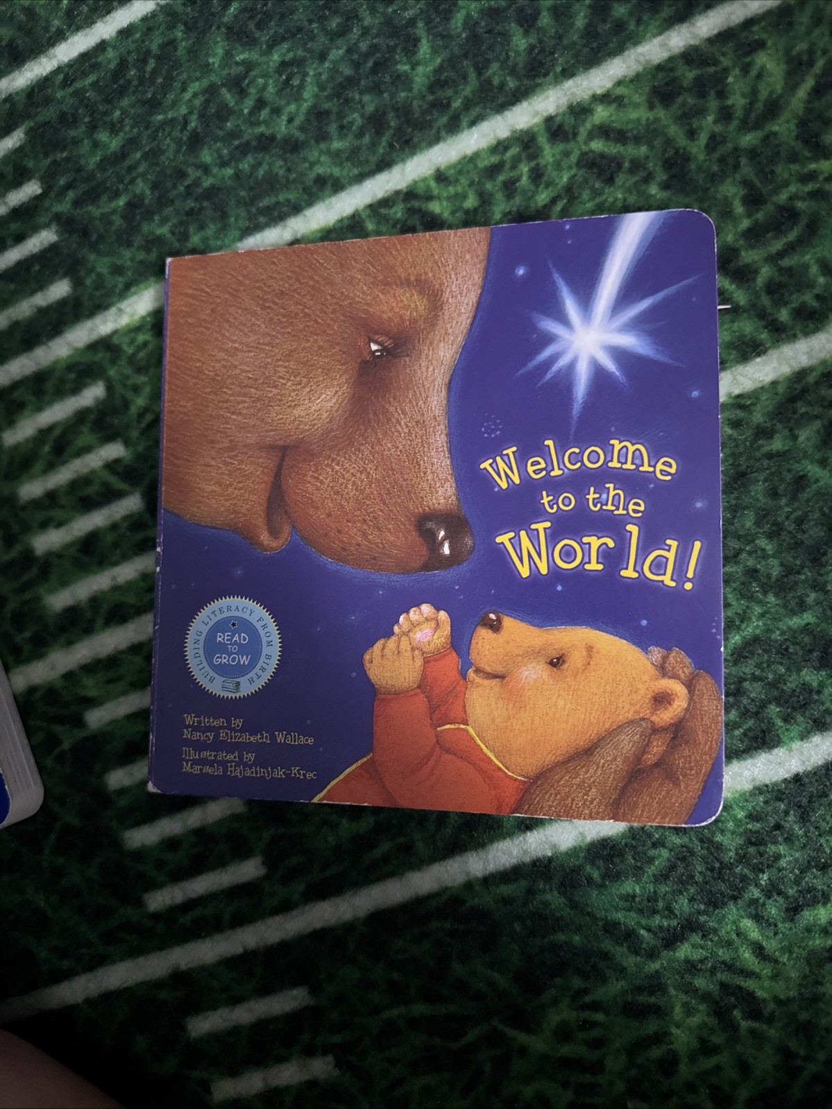 Welcome to the World! – Board book By Nancy Elizabeth Wallace – GOOD