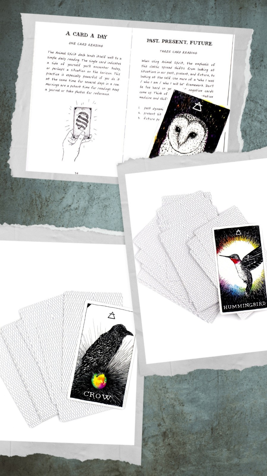 The Wild Unknown Animal Spirit Deck and Guidebook by Kim Krans