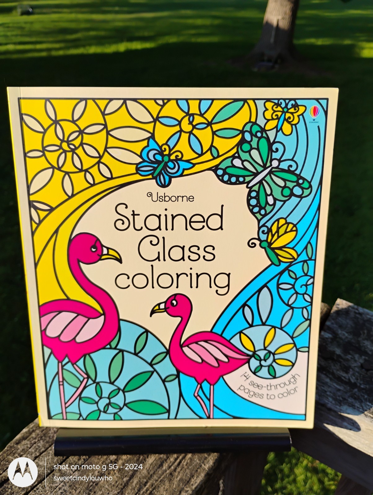 Stained Glass Coloring Book by Usborne w 14 see-thru pages to color dated 2018
