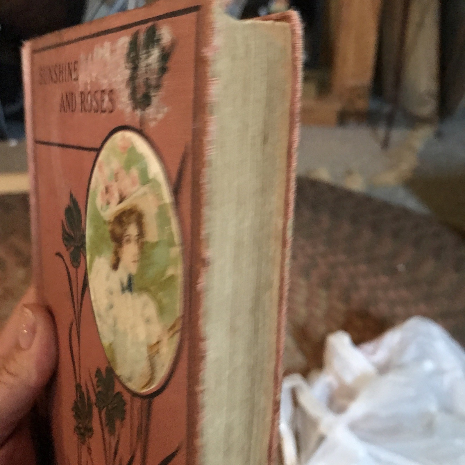 Sunshine and Roses book, by charlotte m. braeme,Hardcover antique