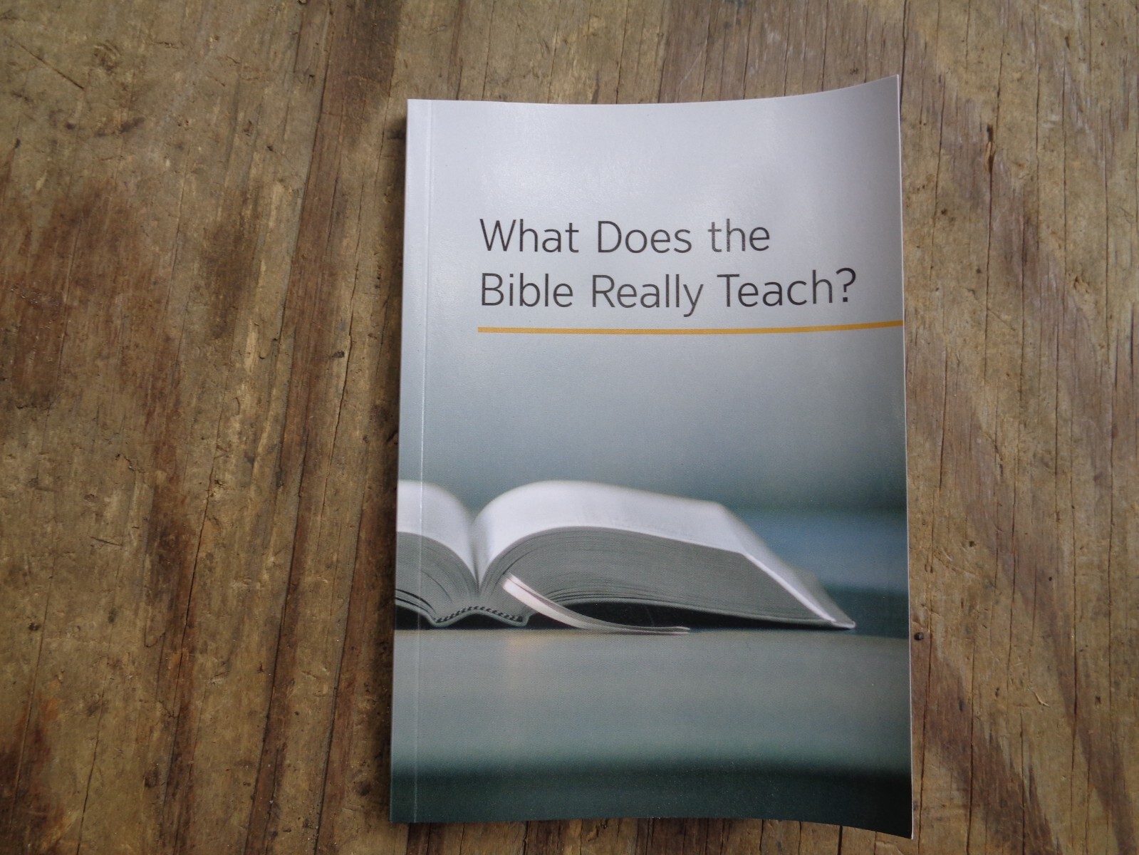 “WHAT DOES THE BIBLE REALLY TEACH?”. 2016. 223 pages. Paperback. Watchtower
