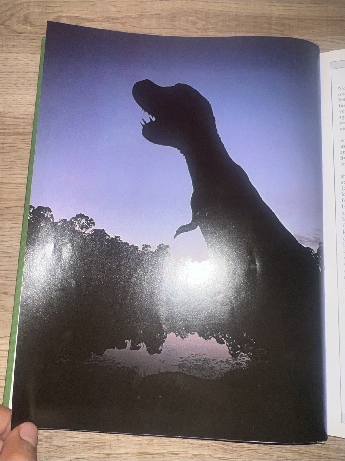Prehistoric Monsters By KATE BRASCH Hard Cover W/O DJ – VERY GOOD