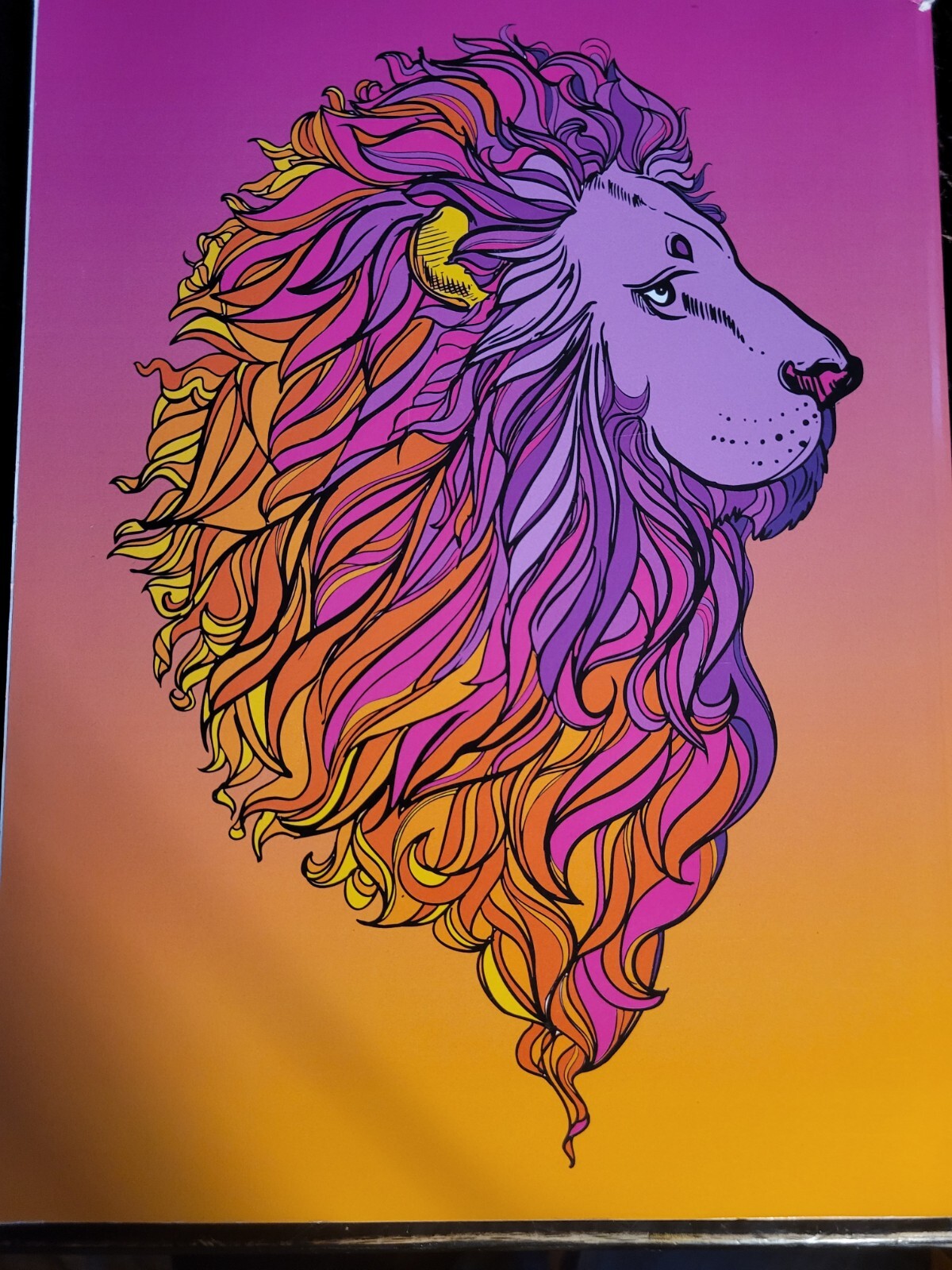 MAGNIFICENT CREATURES Vol 18 – Adult Coloring Book by TOPIX MEDIA – 47 PRINTS