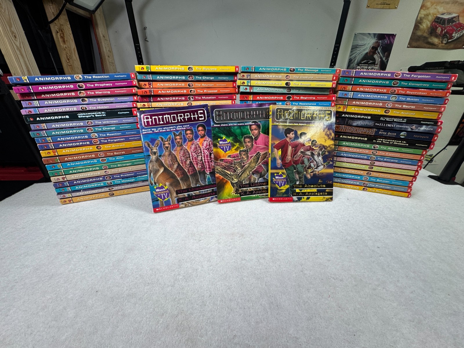Animorphs Series K.A. Applegate Paperback Book Lot Pick The One You Need #1-54