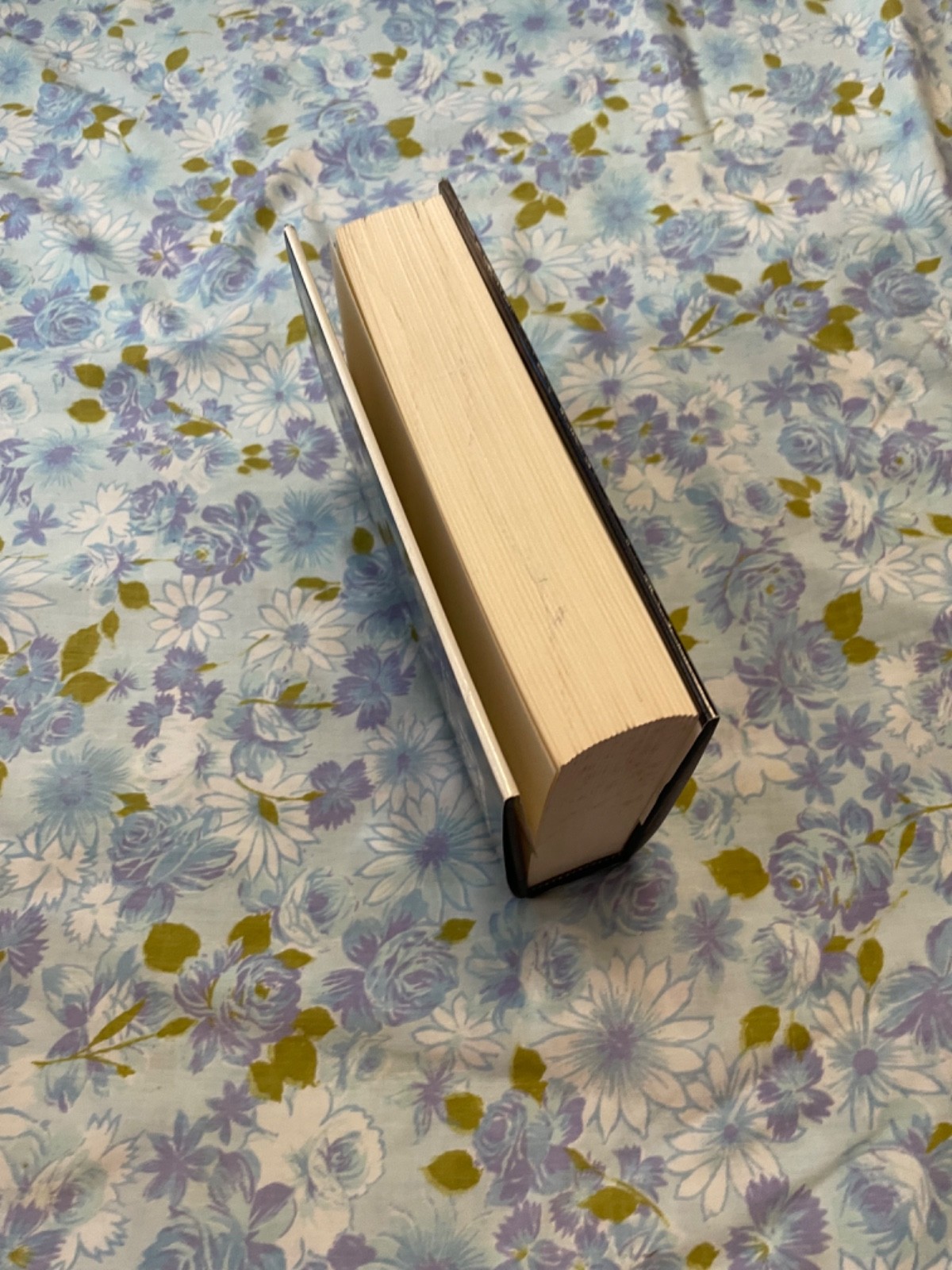 BOOK The Collected works of W B YEATS The Poems Volume 1 Revised Hardcover