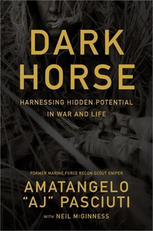 Darkhorse: Harnessing Hidden Potential in War and Life (Hardback or Cased Book)