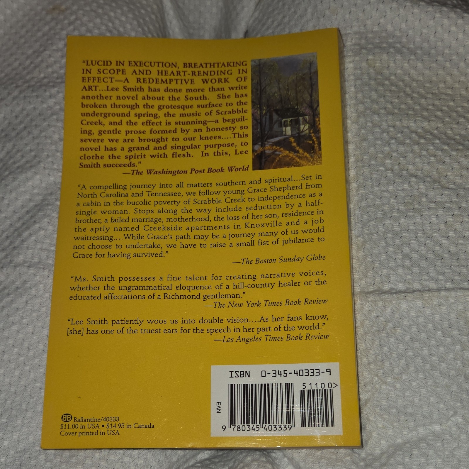Lee Smith Saving Grace Trade Paperback 1996 Fiction Psychological Saga