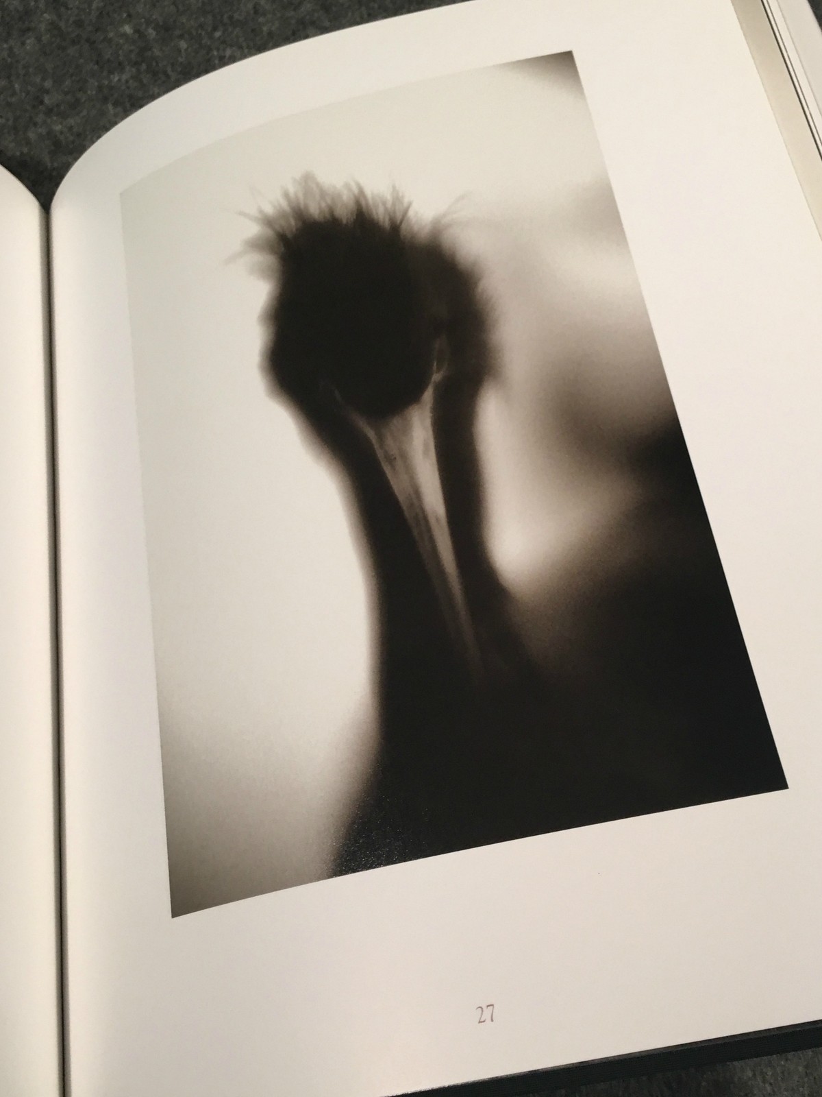Creatures by Henry Horenstein (1999, Hardcover, Deluxe). Signed by the author.