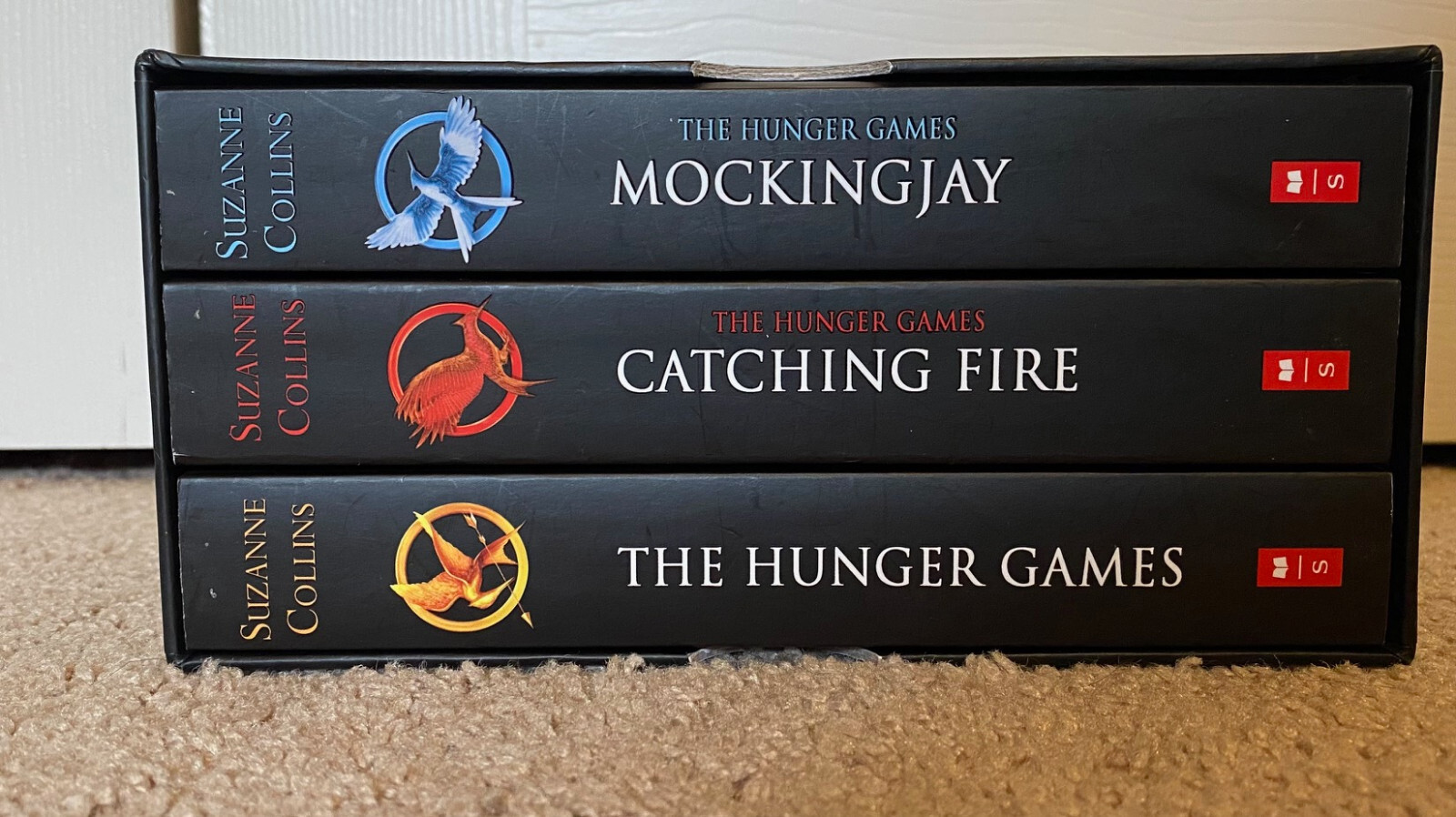 Young Adult Fiction – Choose your own series/trilogy