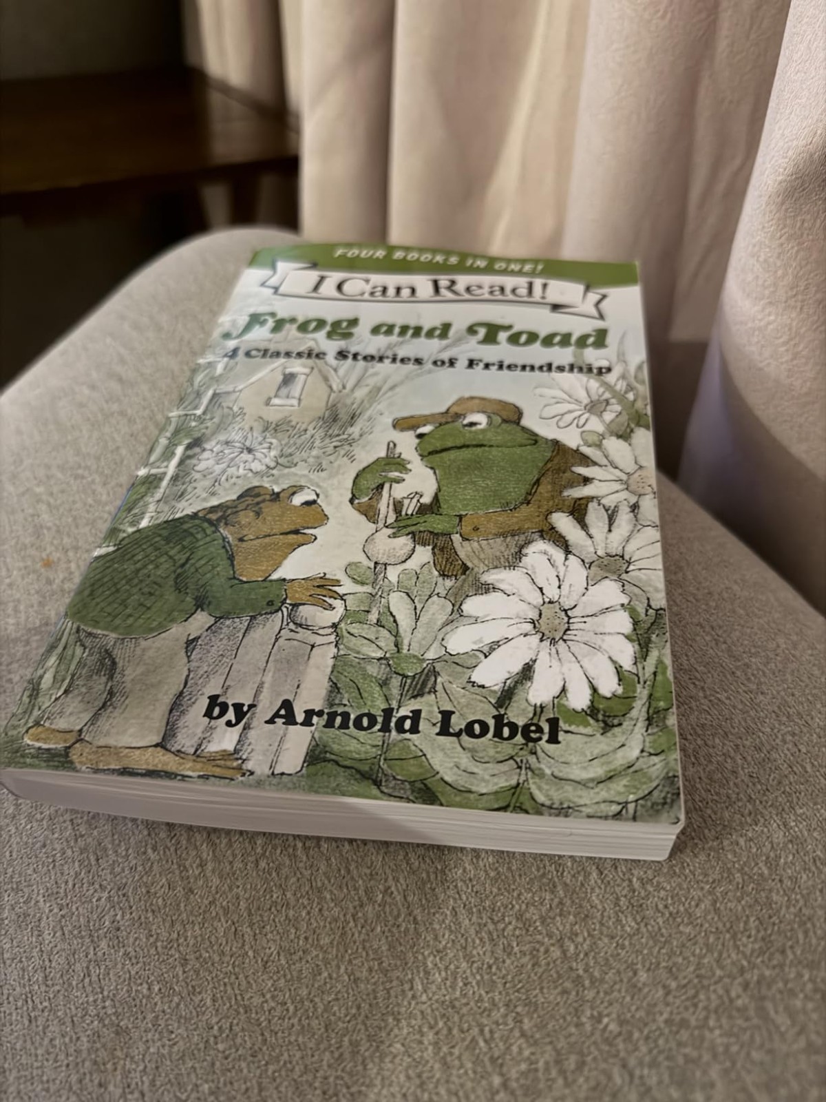 Frog and Toad Collection 4 Stories I Can Read Level 2 Kids Friendship Book Set