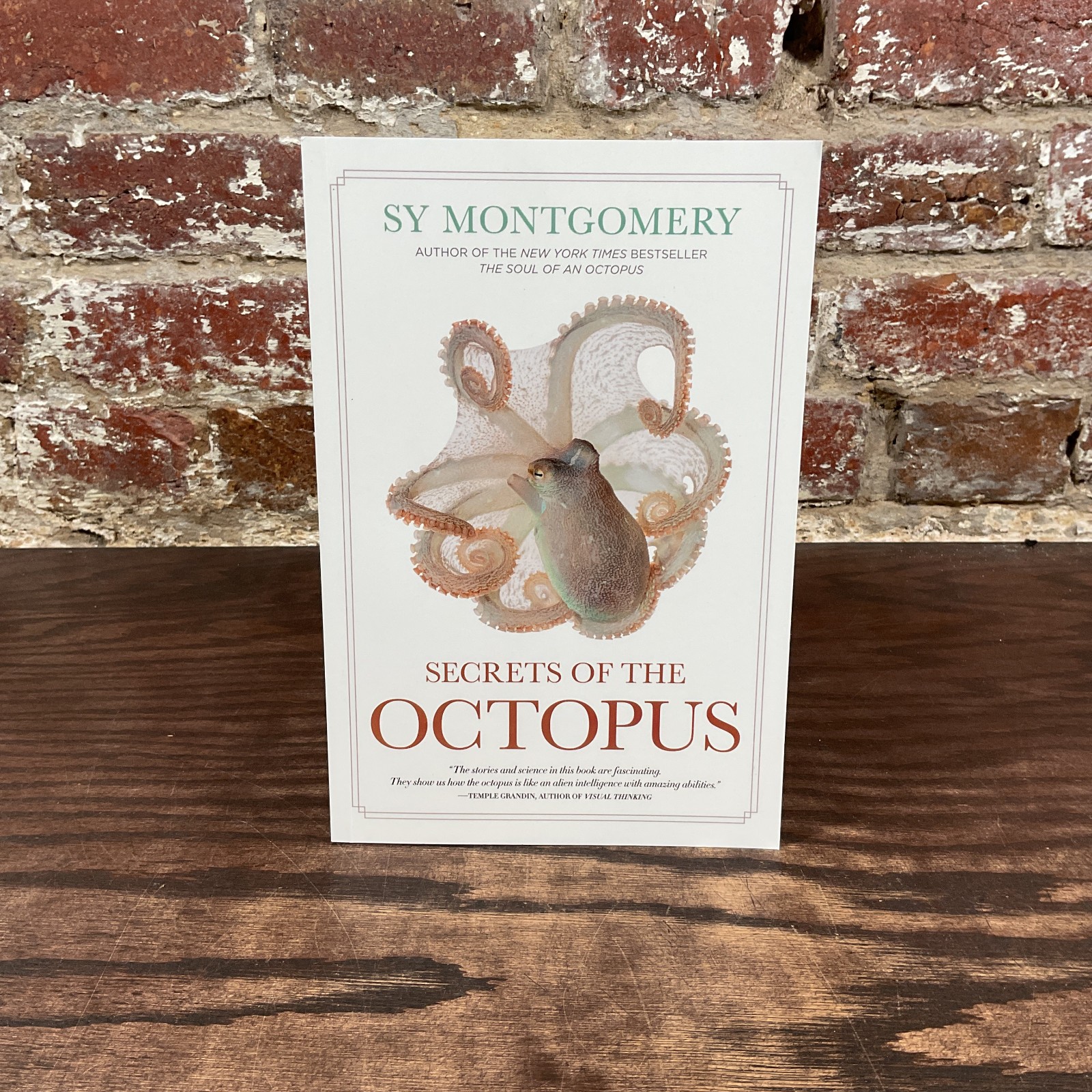 Secrets Of The Octopus By Montgomery, Sy