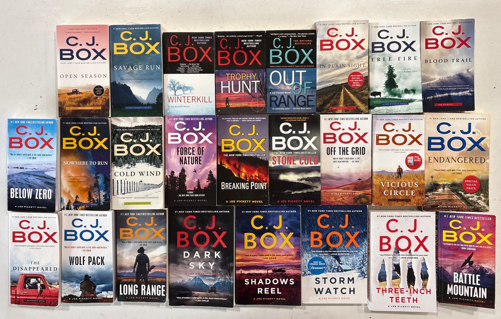 25 Book Lot Complete JOE PICKETT “Game Warden” Series Books 1-25 CJ BOX PB Set