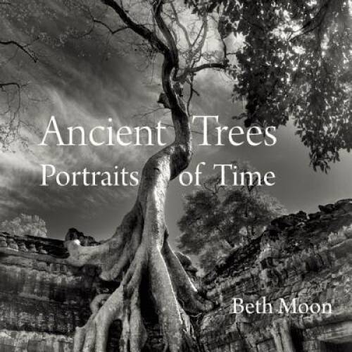 Ancient Trees: Portraits of Time – Hardcover By Moon, Beth – GOOD