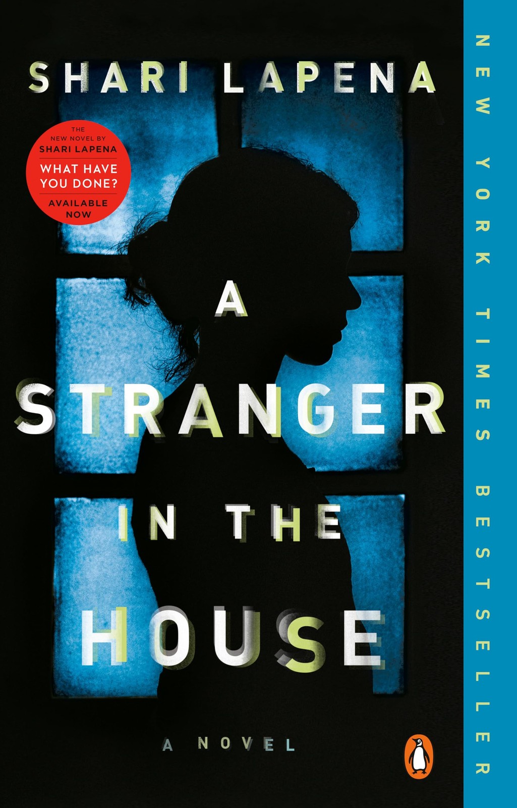A Stranger in the House: A Novel – paperback Lapena, Shari
