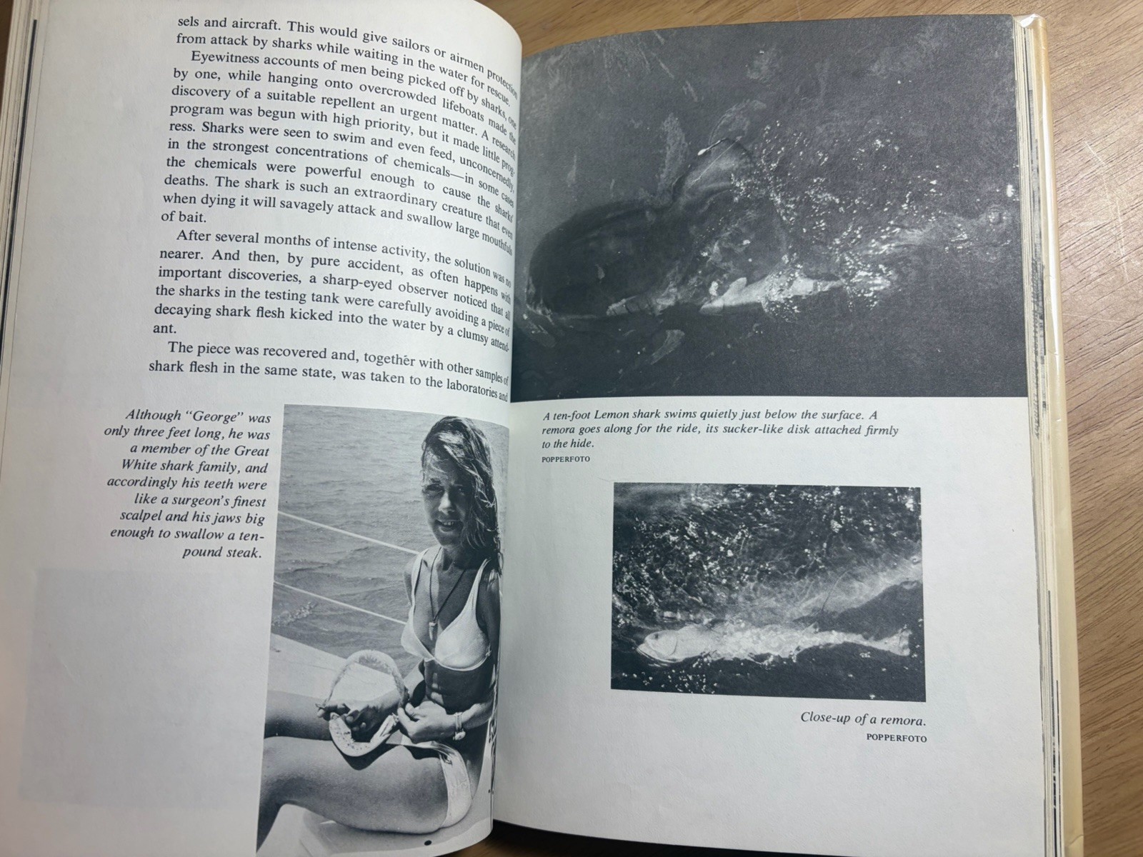 Shark Cage Under the Red Sea Ted Falcon-Barker 1969 HCDJ 1st Ex-Lib