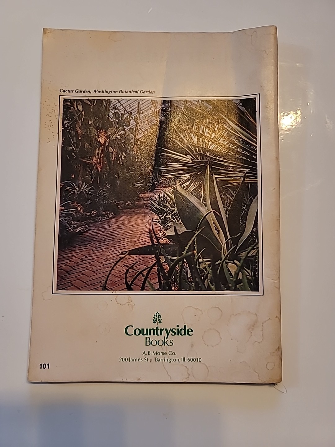 Cactus And Succulents Countryside Books 1976 Edition