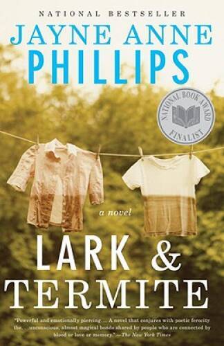 Lark and Termite (Vintage Contemporaries) – Paperback – GOOD
