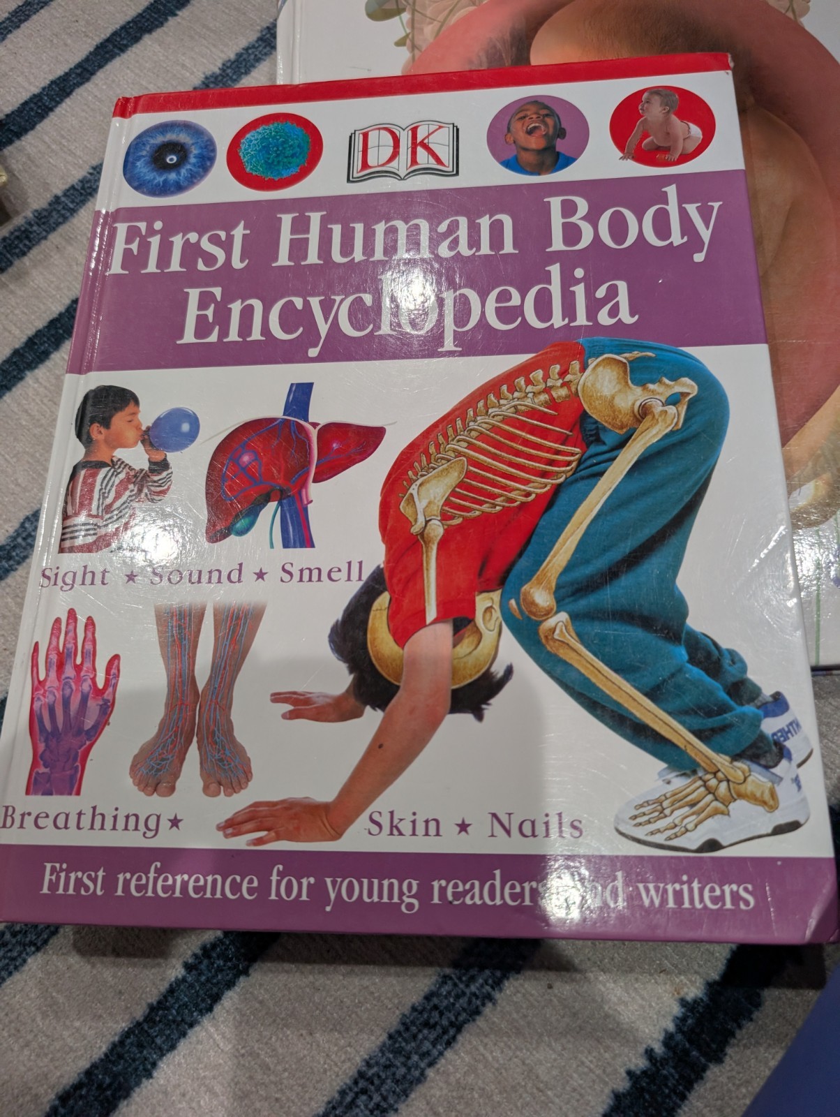 Lot of six Books About The Human Body Anatomy & Physiology Illustrated