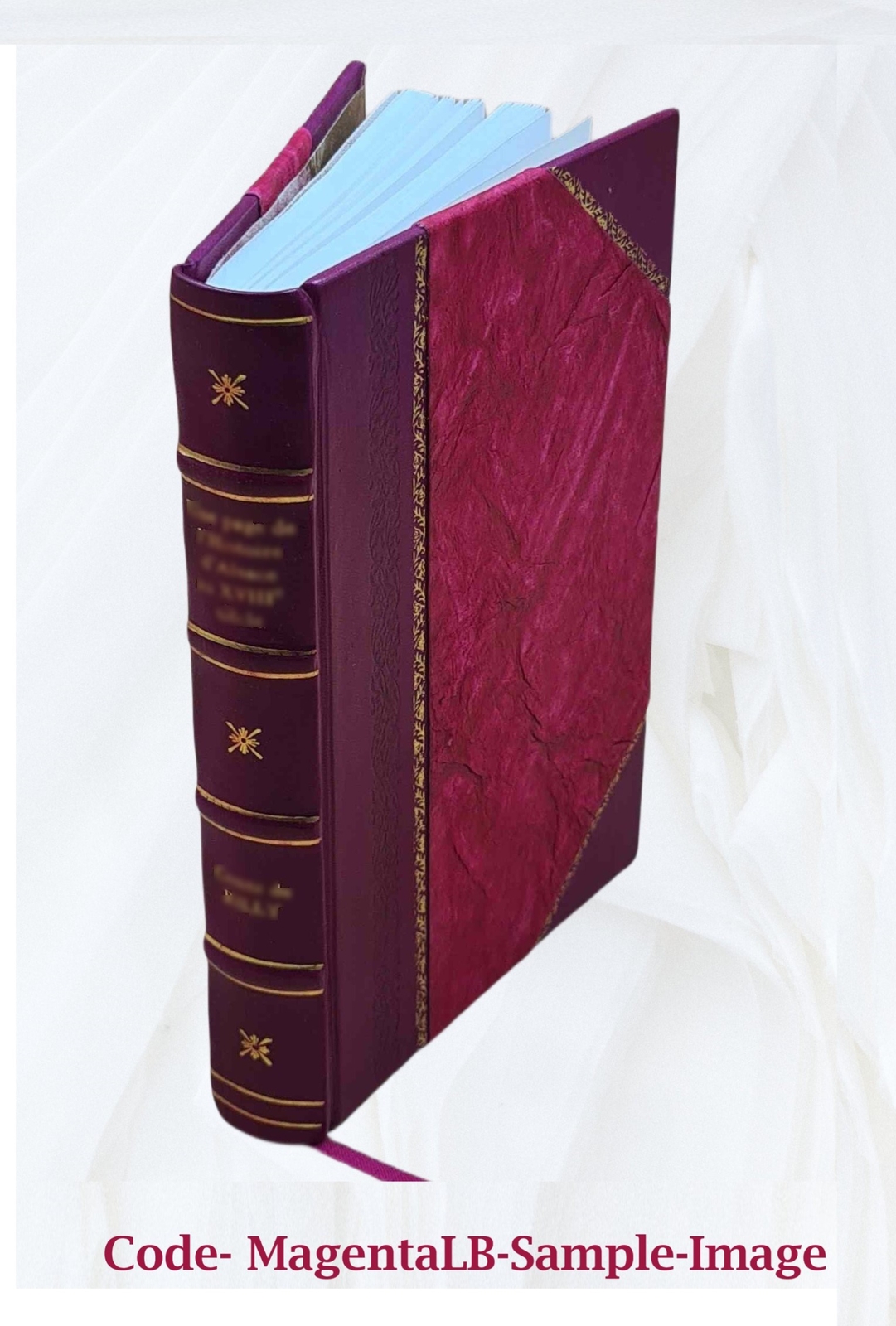 Missions-Taube 1879 [Leather Bound]