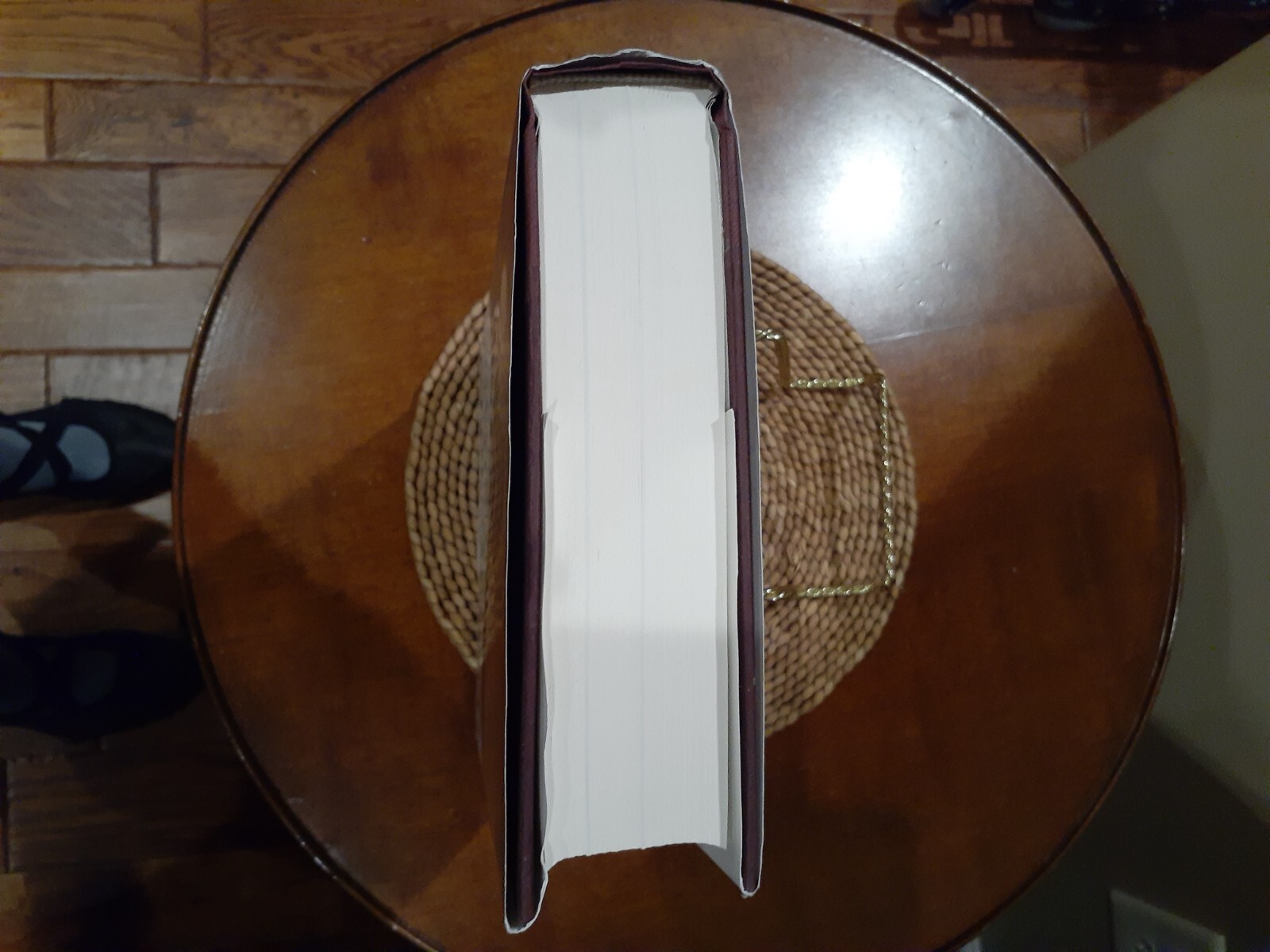 NEW HB BOOK W/DUST COVER THE AGE OF TURBULENCE ALAN GREENSPAN 544 PAGES