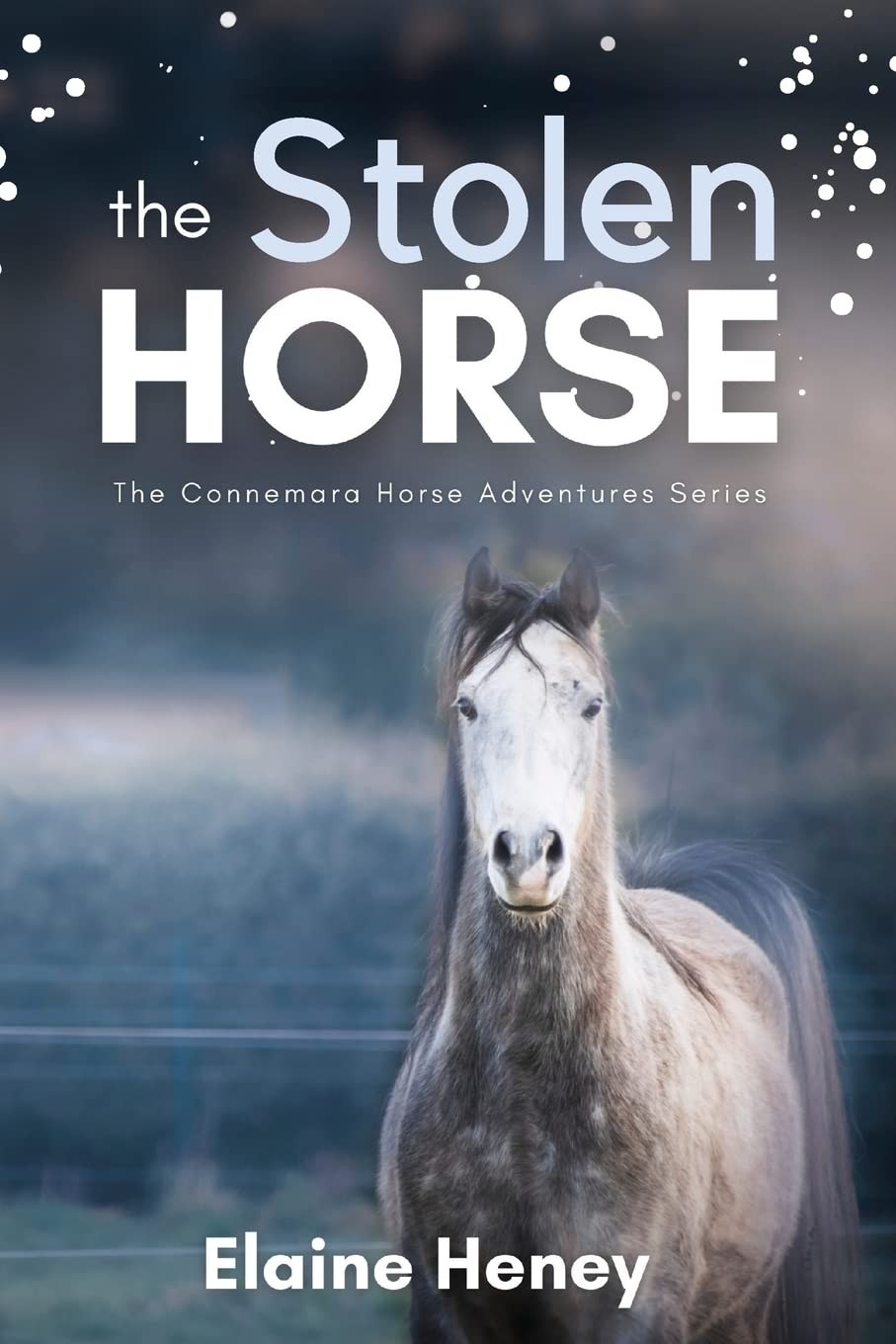 The Stolen Horse – Book 4 in the Connemara Horse Adventure Series for Kids |…
