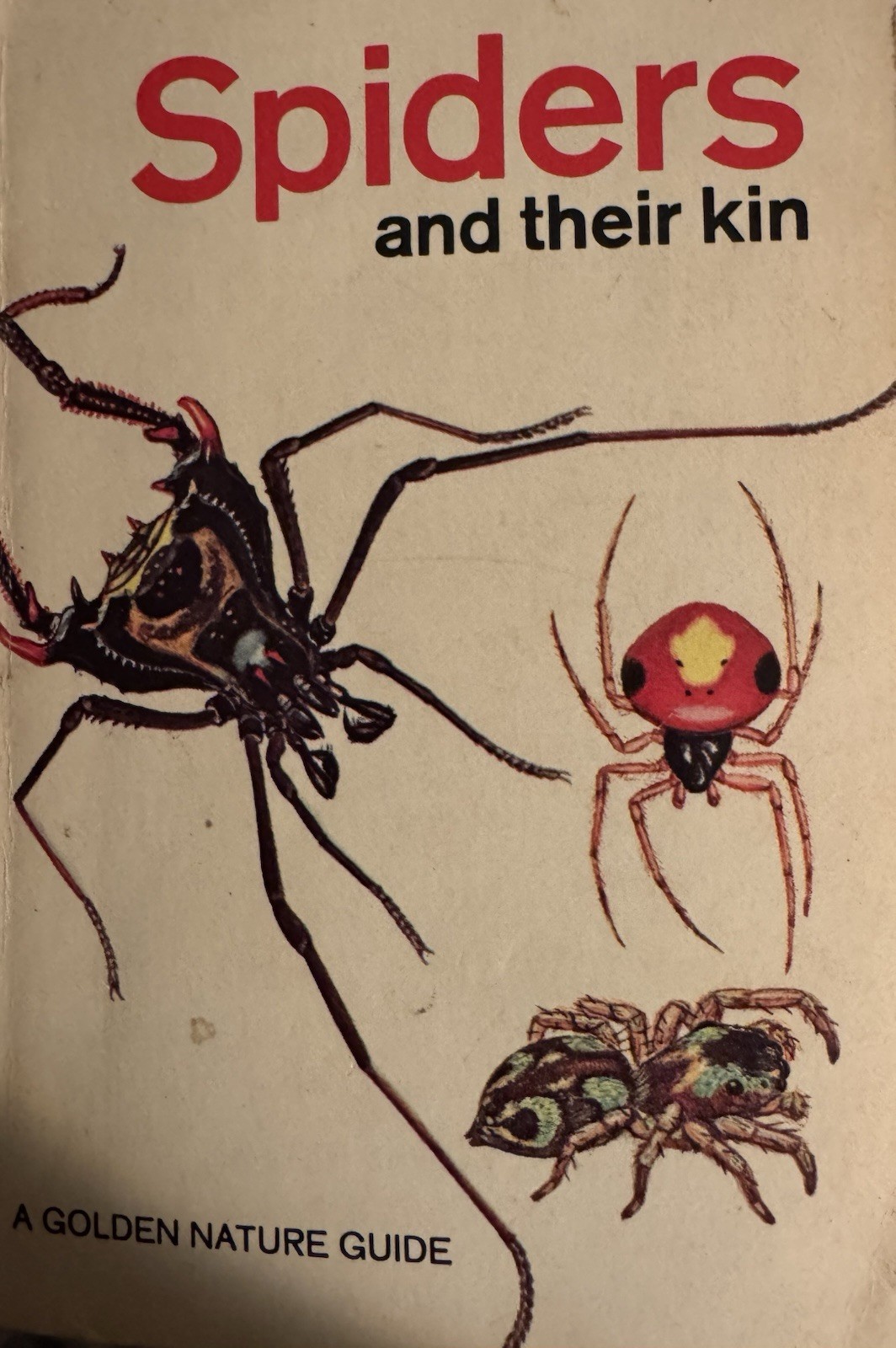 Golden Guide Ser.: Spiders and Their Kin by Lorna R. Levi and Herbert W. Levi