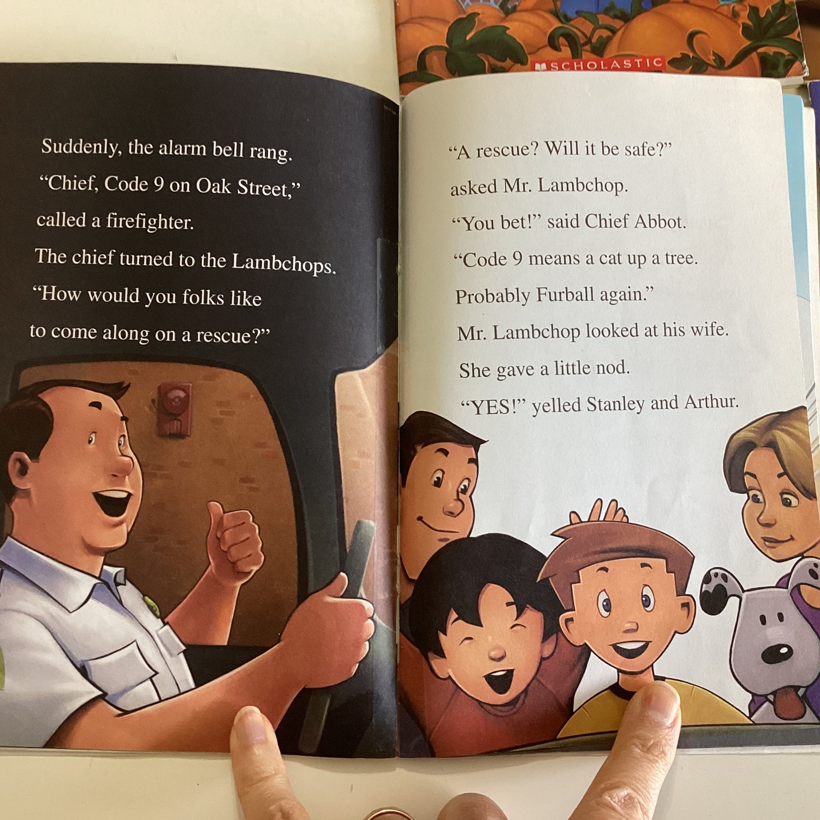 Flat Stanley I Can Read Level 2 Readers 1st 2nd 3rd Grade 10 Book Lot