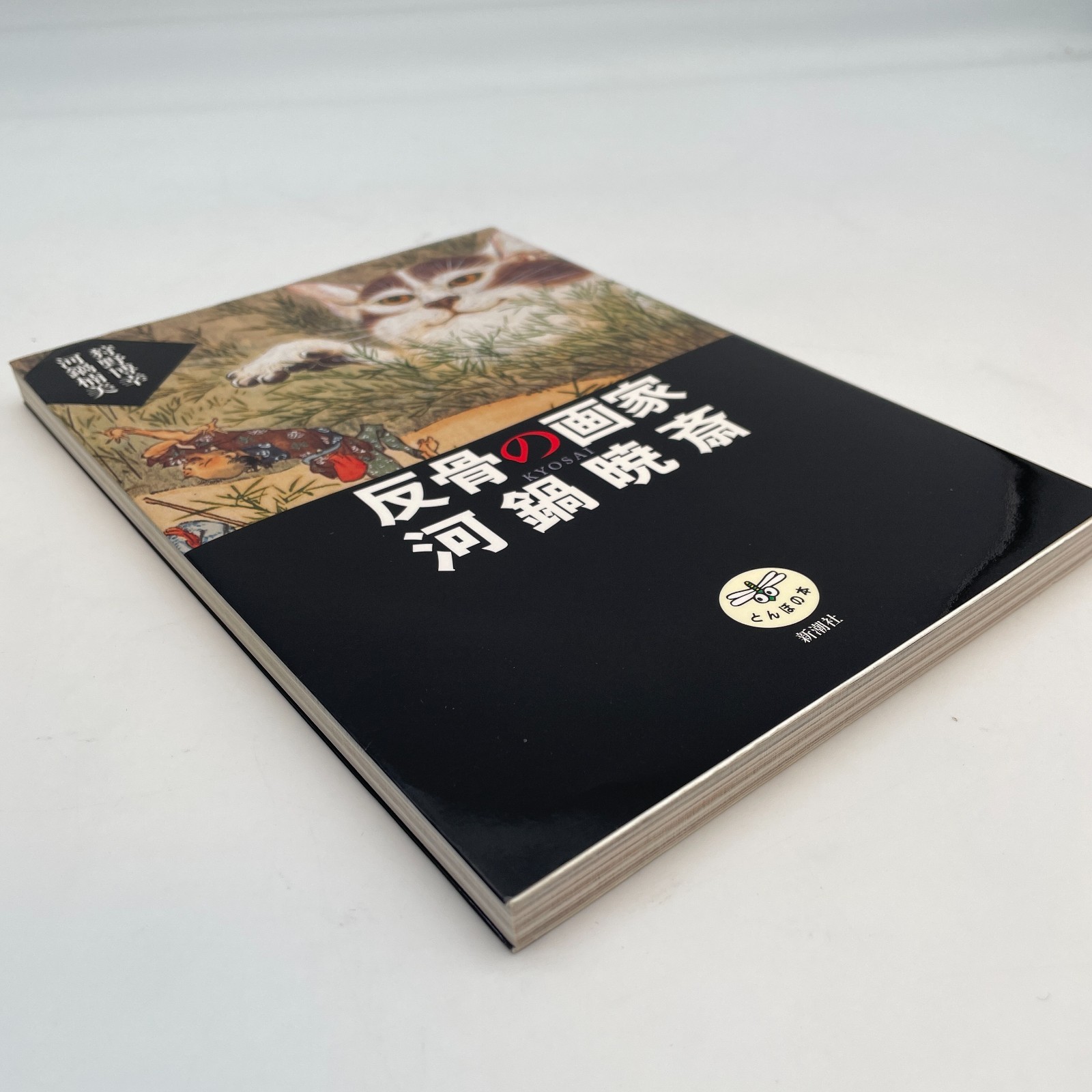Kawanabe Kyosai Art Collection Book Ukiyo-e Illustration Japanese 126 pages