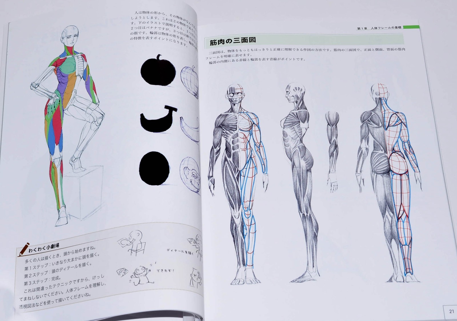 How to Draw Characters Guidebook : Human Body Drawing to Main Character Design