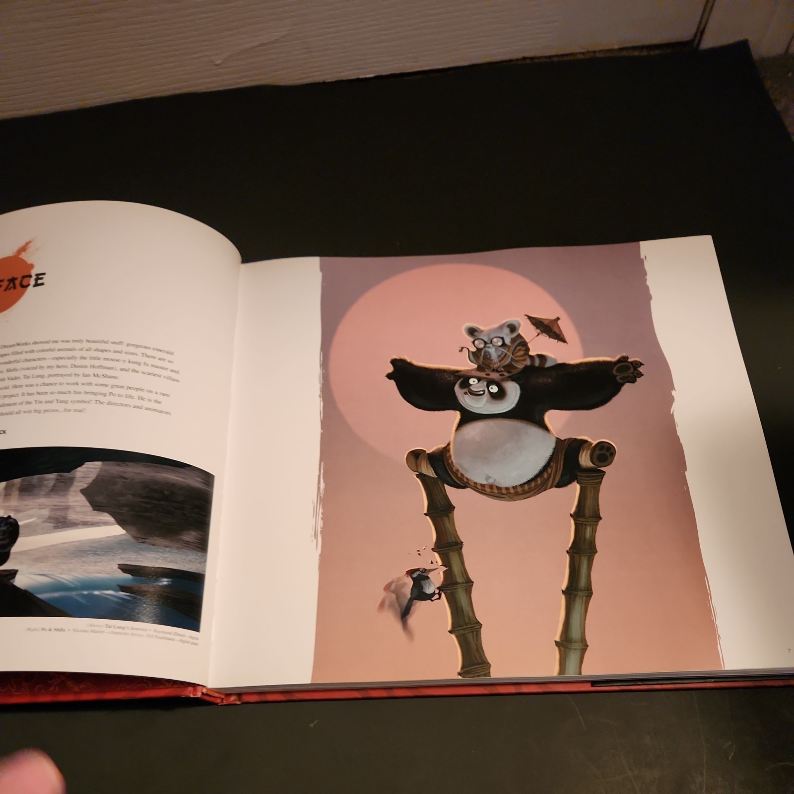 The Art of DreamWorks Kung Fu Panda hardcover with dust jacket.