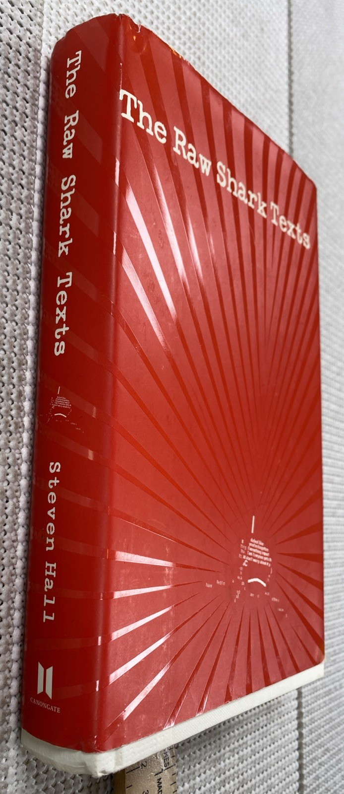 The Raw Shark Texts: A Novel Steven Hall 2007 Hardcover
