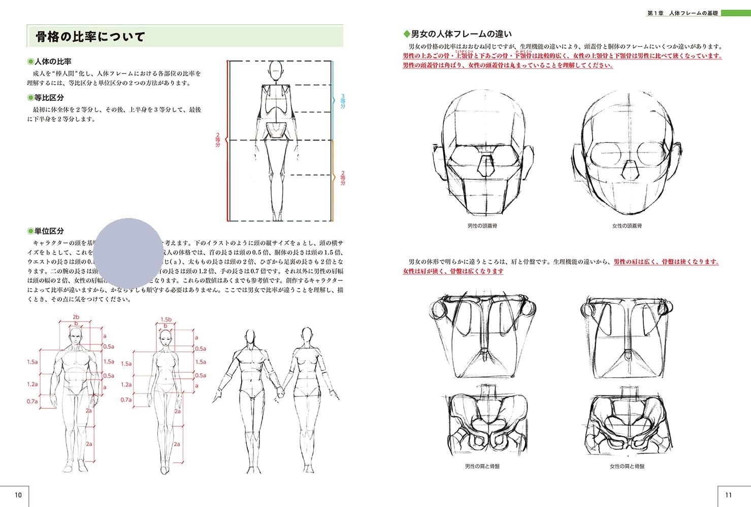 How to Draw Characters Guidebook : Human Body Drawing to Main Character Design