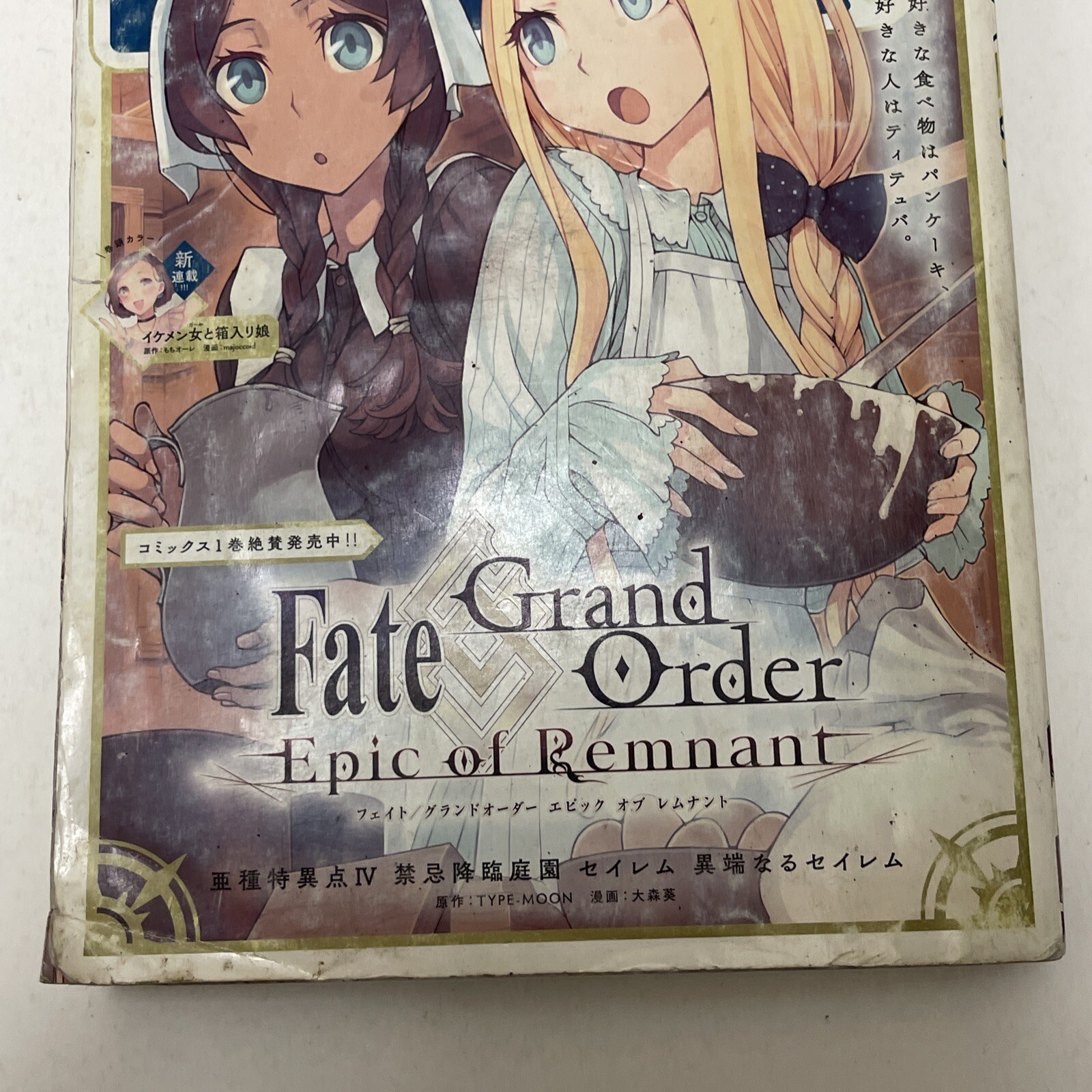 Fate Grand Order Epic Of Remnant Monthly Comic Rex November 2019 Japanese