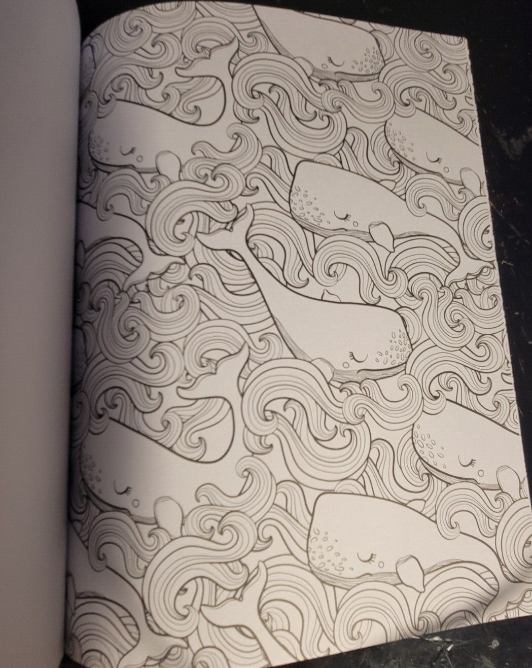 COLOR ME MAGNIFICENT Vol 11 Adult Coloring Book With 47 Prints Ready To Frame